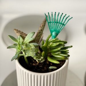 Meet your Posher, Elaine